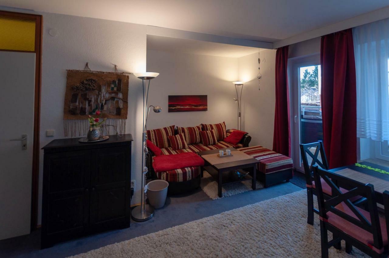 Harznest Apartment Braunlage Exterior photo
